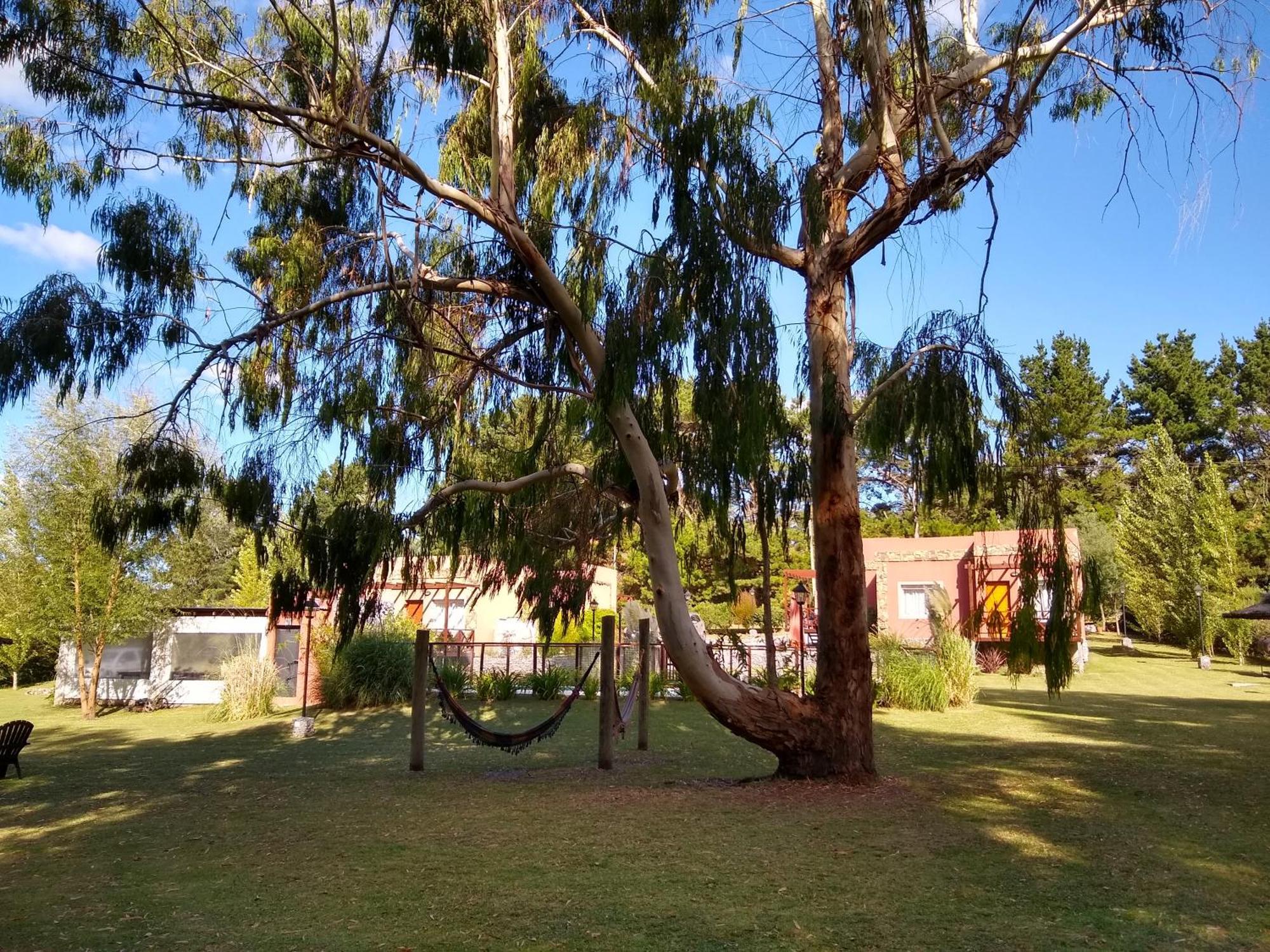 Aparthotel Icalma De La Sierra Tandil Exterior foto